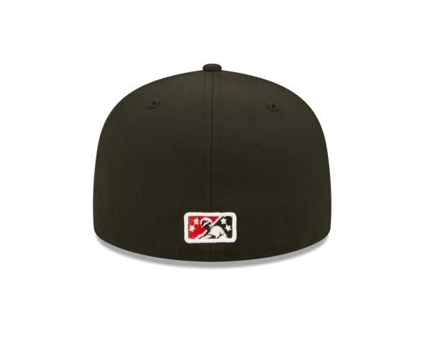 Erie SeaWolves - Image 5