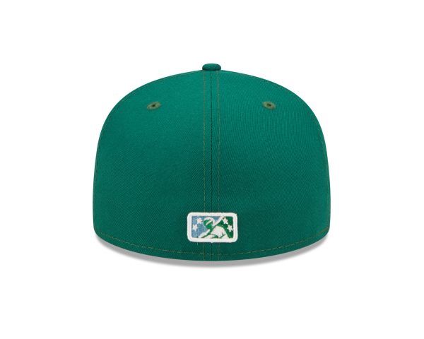 Daytona Tortugas - Image 5