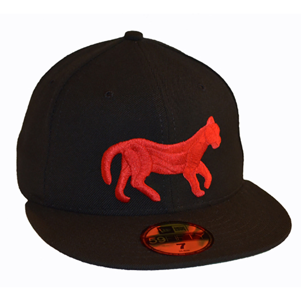 detroit tigers hat red