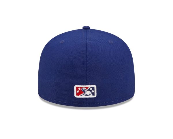 St. Paul Saints - Image 5