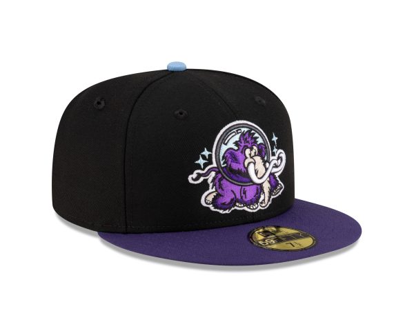 Erie SeaWolves - Moon Mammoths