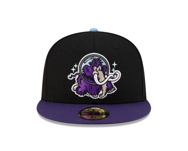 Erie SeaWolves - Moon Mammoths - Image 3